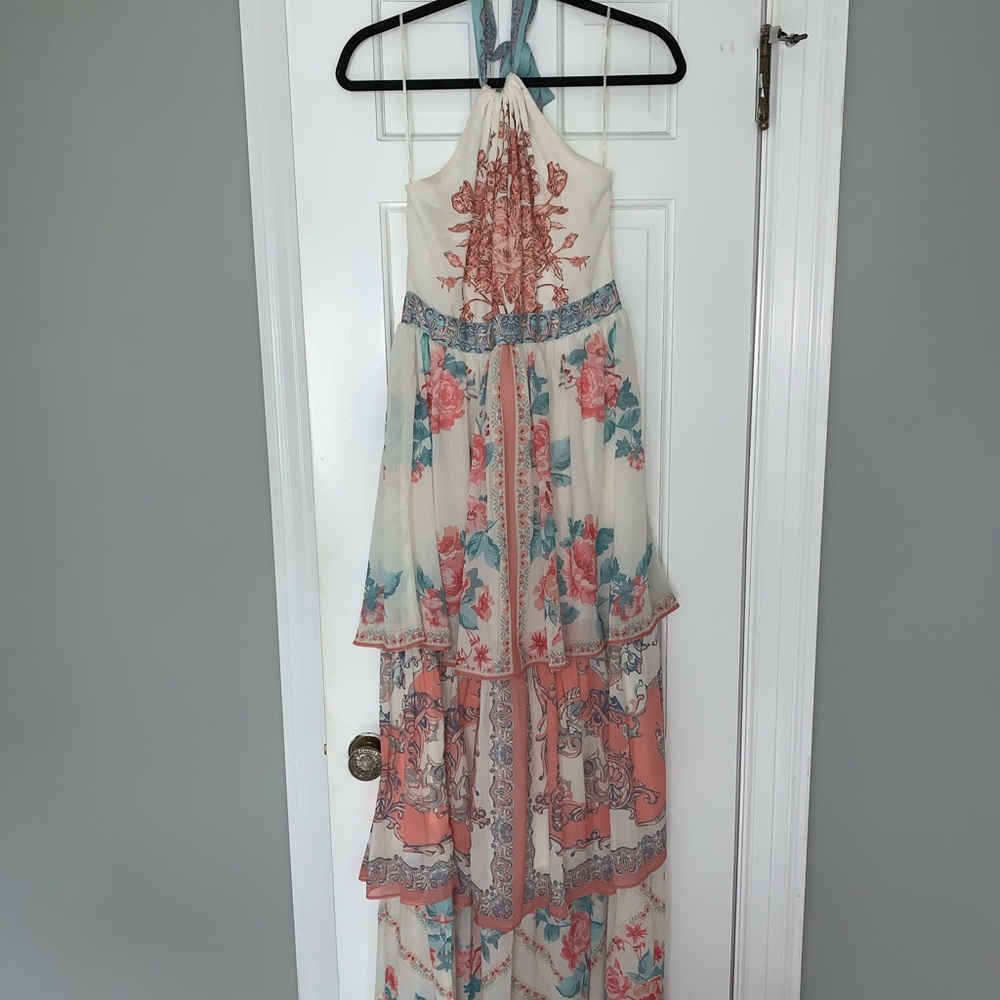 Champagne and Strawberry maxi dress